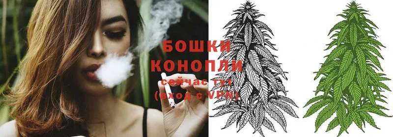 Марихуана OG Kush  как найти наркотики  Великий Устюг 